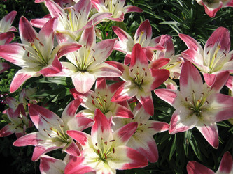 Similar image 819577