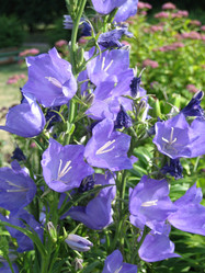 Similar image 819578