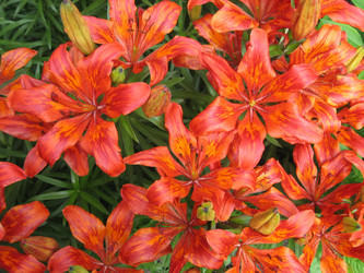 Similar image 819580