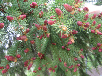 Similar image 819584