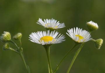 Similar image 819612