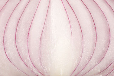 Similar image 819692