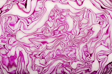 Similar image 819729