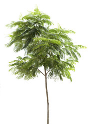 Similar image 819743