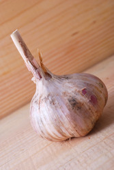 Similar image 819758