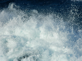 Similar image 819769