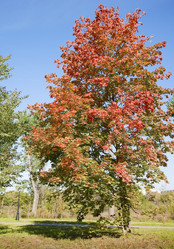 Similar image 819785