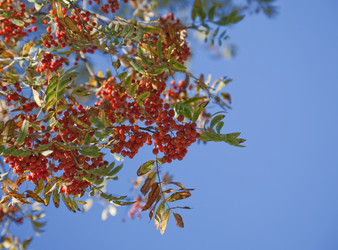 Similar image 819790