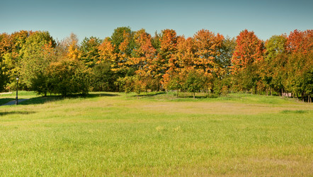 Similar image 819814