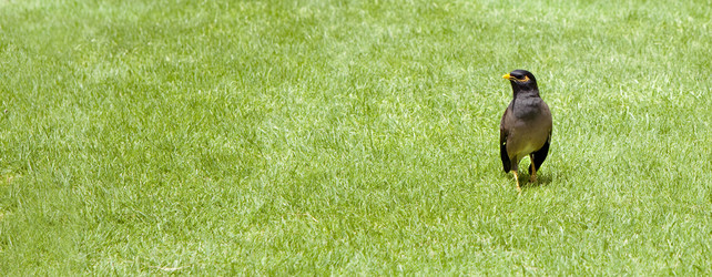 Similar image 819823