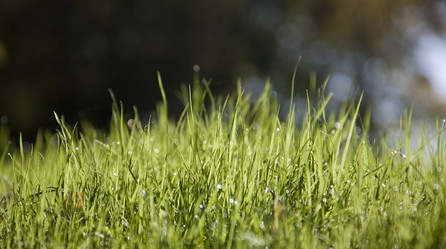 Similar image 819827