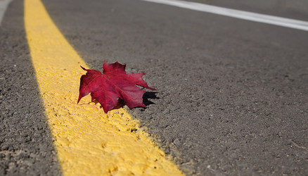 Similar image 819840