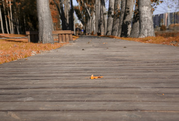 Similar image 819842