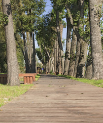 Similar image 819845