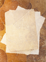 Similar image 819848