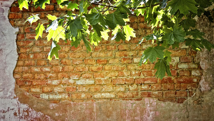 Similar image 819868