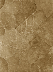 Similar image 819876