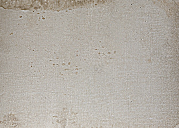 Similar image 819877