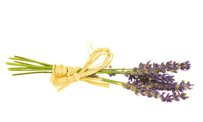 Similar image 819879