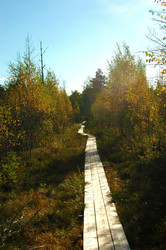 Similar image 819891