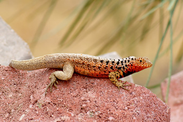 Similar image 819916