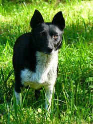 Similar image 819932