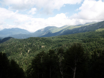 Similar image 819960