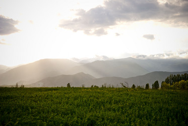 Similar image 820021