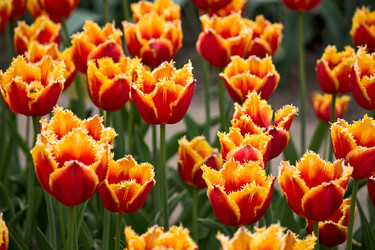 Similar image 820025