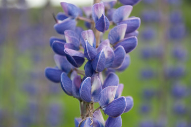 Similar image 820043