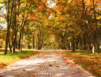 Similar image 820140