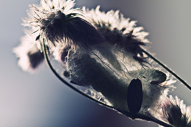 Similar image 820310