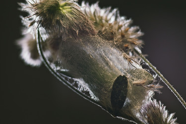 Similar image 820311