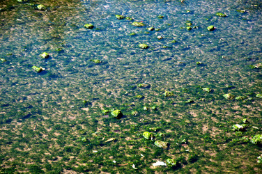 Similar image 820314