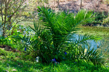 Similar image 820315