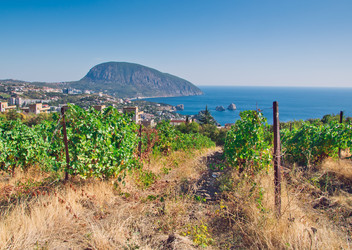 Similar image 820467