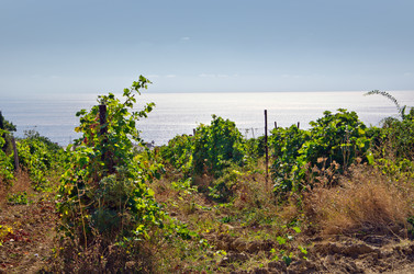 Similar image 820484