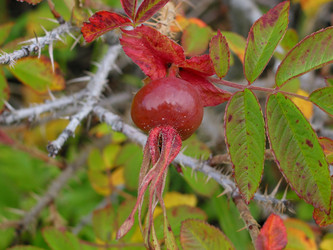 Similar image 820572