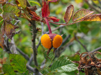 Similar image 820574