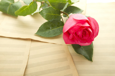 Similar image 820611