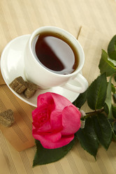 Similar image 820615