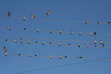 Similar image 820633