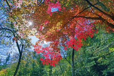 Similar image 820666