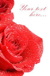 Similar image 820742