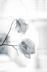 Similar image 820753