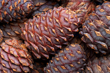 Similar image 820777