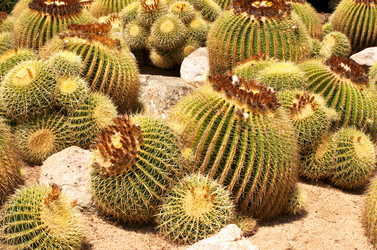 Similar image 820790