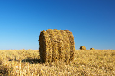 Similar image 820793