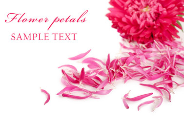 Similar image 820794