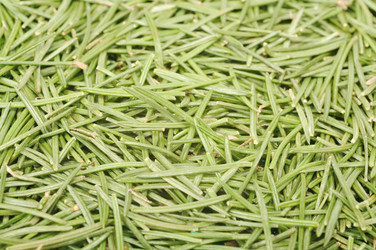 Similar image 820841